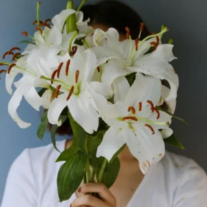 Sop Fertility Premium