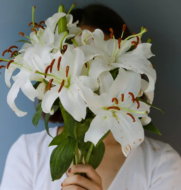 Sop Fertility Premium